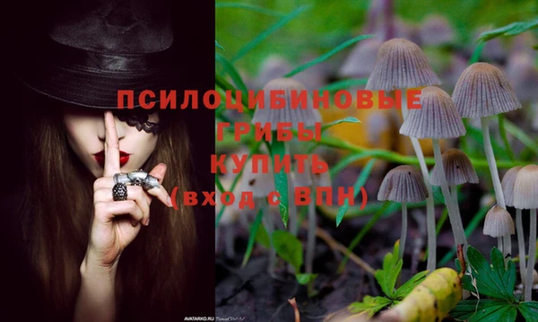 гашиш Абаза
