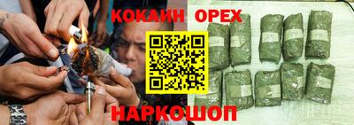 прущие грибы Лесосибирск