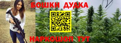 прущие грибы Лесосибирск