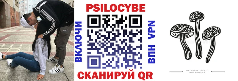 Псилоцибиновые грибы ЛСД закладка Грязи