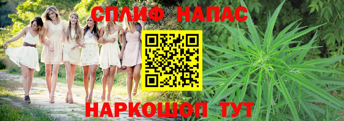 Конопля индика  Вход с VPN  Грязи  Бошки марихуана сатива 
